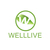 Hebei Welllive Trade Co., Ltd. Logo