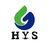 Shijiazhuang Huanyisheng Technology Co., Ltd Logo