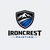 IronCrest Painting Logo