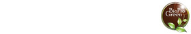 Orientale International Business Logo