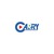 Shenzhen Carry Display Technology Co., Ltd Logo