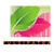 Tulsipatra.net Logo