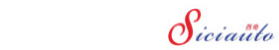 Wuxi Sici Auto Co., Ltd. Logo